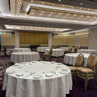 今年リニューアルしたばかりの会場、絨毯がふかふかです