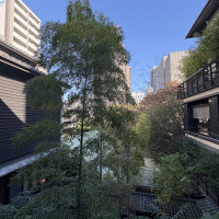 窓から見える緑が素敵でした！