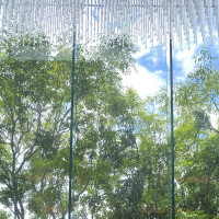 チャペル　自然光と緑