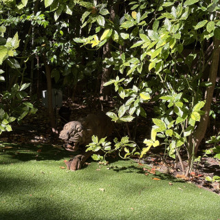 スリランカ調の雰囲気が楽しい