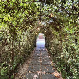 ガーデンへ行くまでの道