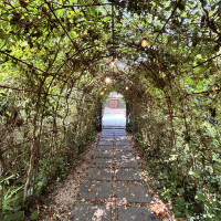 ガーデンへ行くまでの道