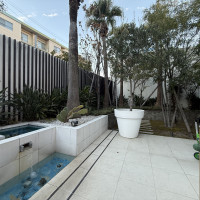 ホワイトヒルズのテラスの植物