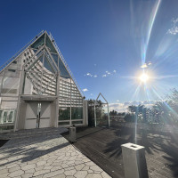 フラワーシャワーができるチャペル前