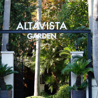 外観も緑いっぱいで写真映えします