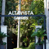 外観も緑いっぱいで写真映えします