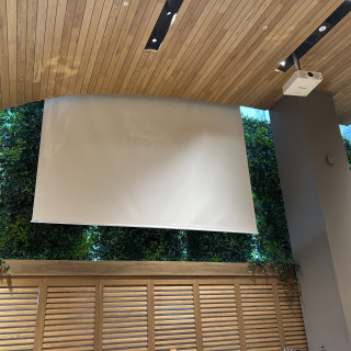 大きなスクリーン