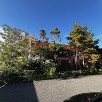 晴れるといいな、、