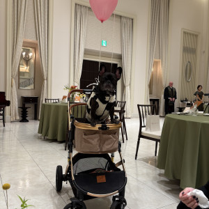 披露宴会場もペット可との事でずっと一緒にいれました。|780436さんのAQUA GARDEN TERRACE(アクアガーデンテラス)/テイクアンドギヴ・ニーズウェディングの写真(2593655)