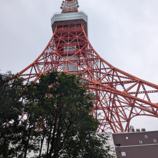 東京タワーバッグで撮影可能