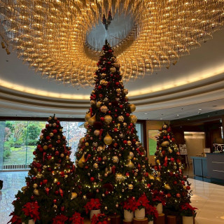 ツリーがとても華やかで、ゲストも撮影を楽しんでいました