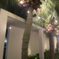 ライトアップの外の様子