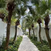 リゾート空間で入り口から綺麗でした