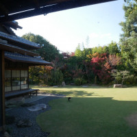 お庭が綺麗な会場