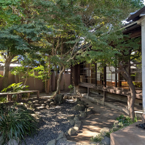 庭|780717さんのMAYAの写真(2586119)