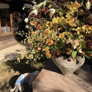 壺花|780717さんのMAYAの写真(2586115)