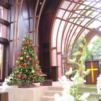 チャペルにクリスマスツリーがありました。