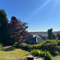 和式の式もできるような感じです