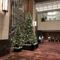 冬にはクリスマスツリーが飾られる。