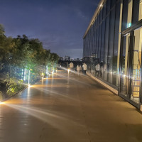 チャペル横のガーデンスペース。
フラワーシャワーができる。