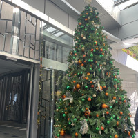 クリスマスの季節にはホテル入りがにツリーがあります。