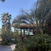 チャペル前の外観