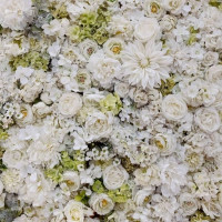 披露宴会場(パリス)の入り口前にあるお花の壁。