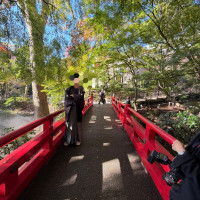 庭の赤い橋