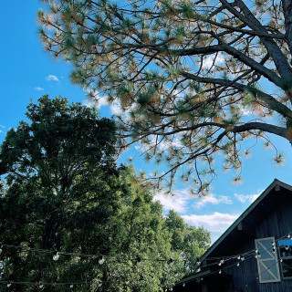 緑の綺麗なチャペル