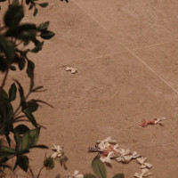 フラワーシャワーもできます（私はリボンにしました）