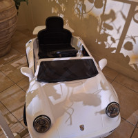 ワンちゃん用のラジコンカー