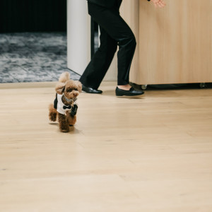 愛犬リングドック|781127さんのMIRAIE Wedding（ミライエウエディング）の写真(2591162)