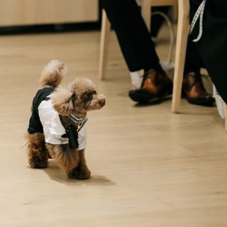 MIRAIE Wedding（ミライエウエディング）のクチコミ チャペル・挙式会場の写真（4枚目）