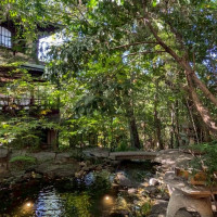 陽の光が差し込んだ庭は和を感じられます。