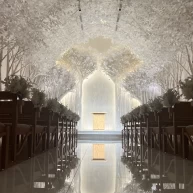 惚れ惚れする白樺のチャペルです。