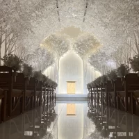 惚れ惚れする白樺のチャペルです。