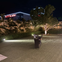 夜もライトアップなどで雰囲気がガラッと変わる