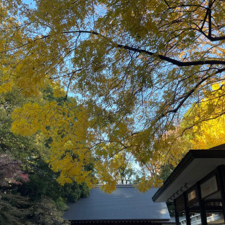 紅葉が綺麗な挙式会場の神社