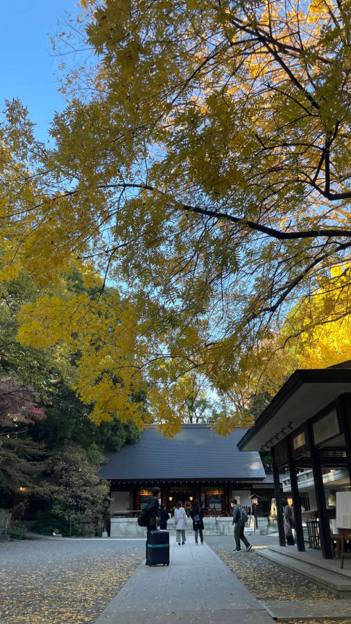 クチコミ導線画像2090665