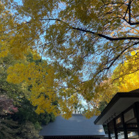 紅葉が綺麗な挙式会場の神社