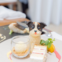 ケーキワンチャン付き