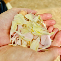 フラワーシャワー