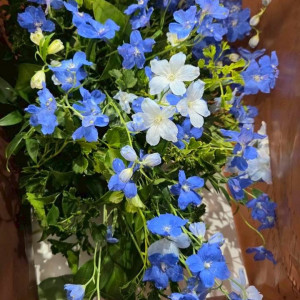 披露宴高砂の装花|781505さんの大國魂神社 結婚式場の写真(2590328)