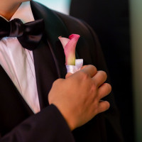 コーディネートです。