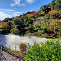 フラワーシャワーや写真撮影、披露宴会場からも見える日本庭園