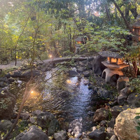 夜はライトアップする紅葉