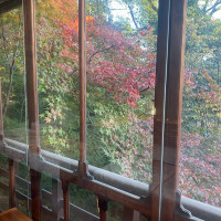 この時期ならではのこうよう