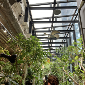 挙式会場まで2|781539さんのMEDI（メディー）の写真(2590940)