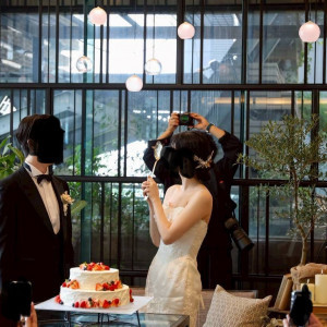 ファーストバイト|781539さんのMEDI（メディー）の写真(2590932)