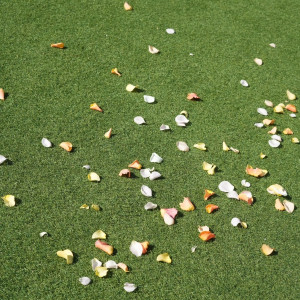 フラワーシャワーをしました。|781540さんのCasa d' Angela Aoyama(カサ・デ・アンジェラ青山)の写真(2605566)